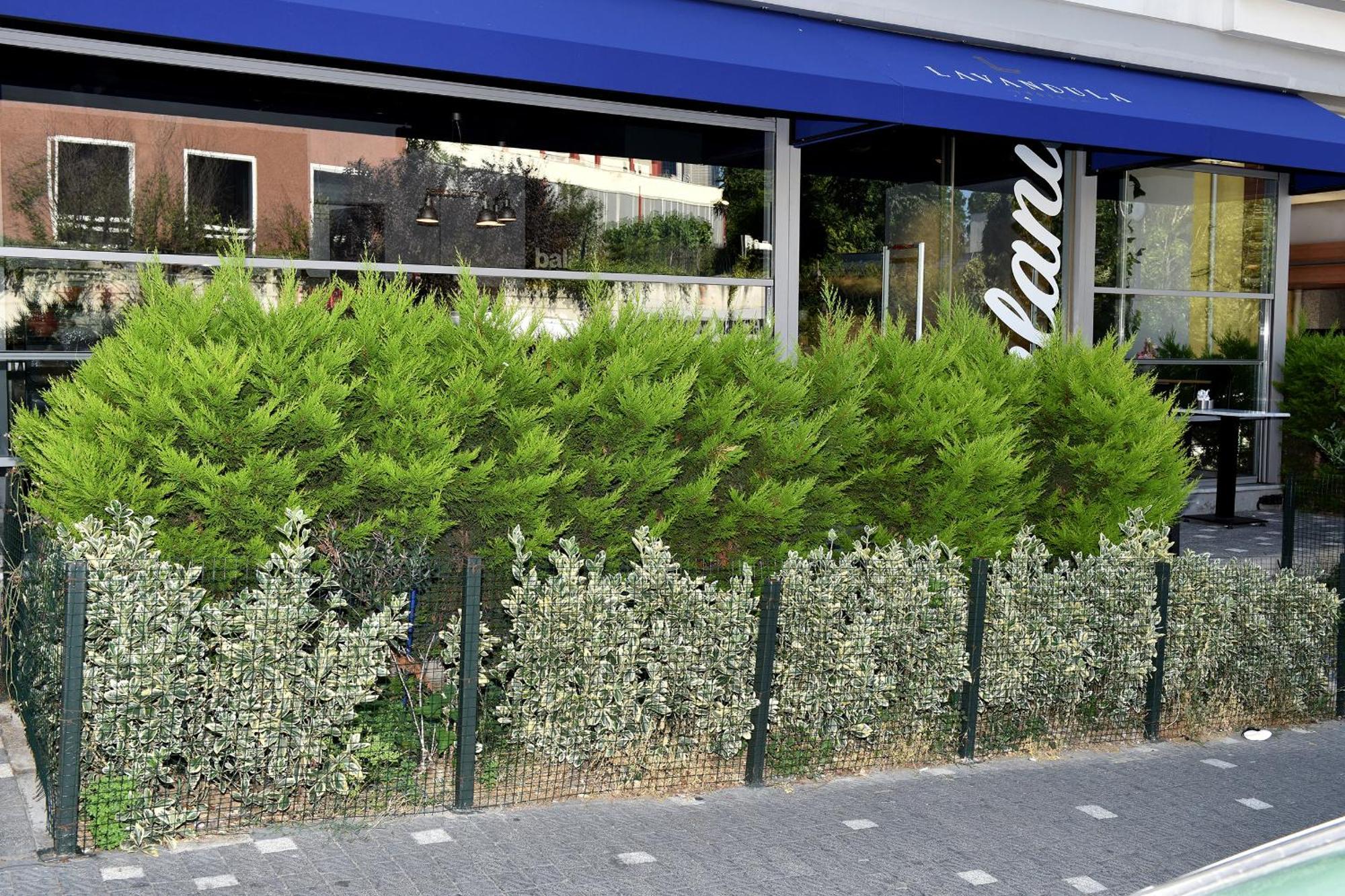 Levent Lavandula Hotel 이스탄불 외부 사진